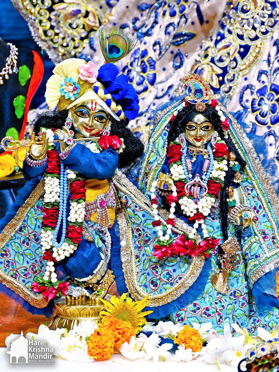 2026-06-16 Darshan
